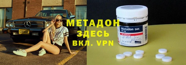 сатива Беломорск