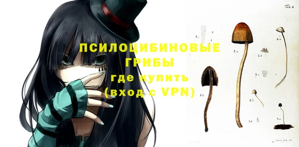 сатива Беломорск