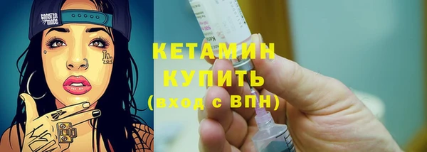 сатива Беломорск