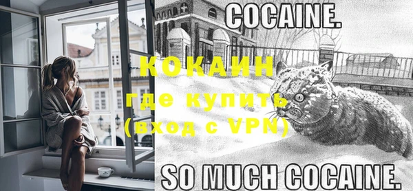 сатива Беломорск