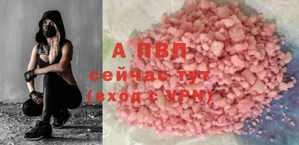сатива Беломорск